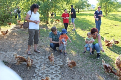 Hühnerfütterung auf dem Hof von Anton Krieger